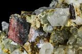 Brookite and Quartz Crystal Association- Pakistan #111318-1